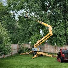 Best Lawn Pest Prevention  in Taylor Mill, KY