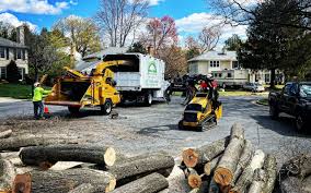 Best Utility Line Clearance  in Taylor Mill, KY
