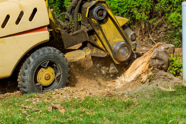 Best Lawn Drainage Solutions  in Taylor Mill, KY