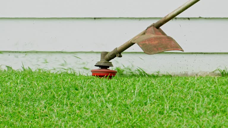 Best Organic Lawn Care Solutions  in Taylor Mill, KY